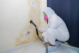 Mold Removal for HVAC Installations in Oak Hill, WV